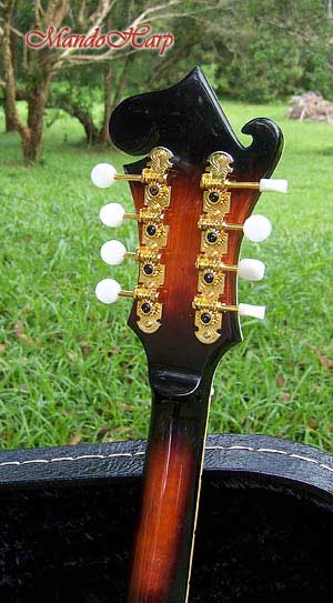 MandoHarp - 'Twisting Vines' Hand-Made F4-Style Mandolin with Abalone and Mother of Pearl Inlay