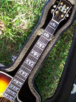 MandoHarp - 'Hands of Gaia' Inlaid Cutaway-Style Acoustic Guitar