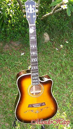 MandoHarp - 'Hands of Gaia' Inlaid Cutaway-Style Acoustic Guitar