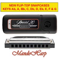 MandoHarp - Hohner Diatonic Harmonica - 560/20 Special 20