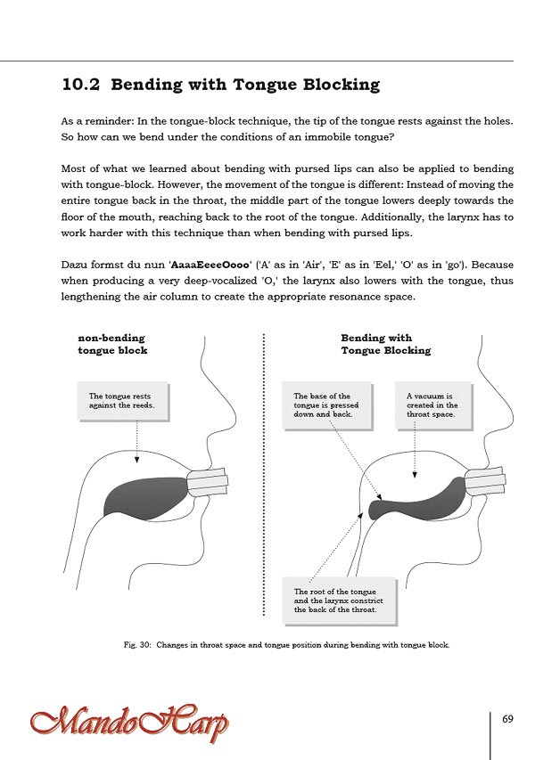 MandoHarp - Seydel 41007 The Complete Harmonica Playing Guide