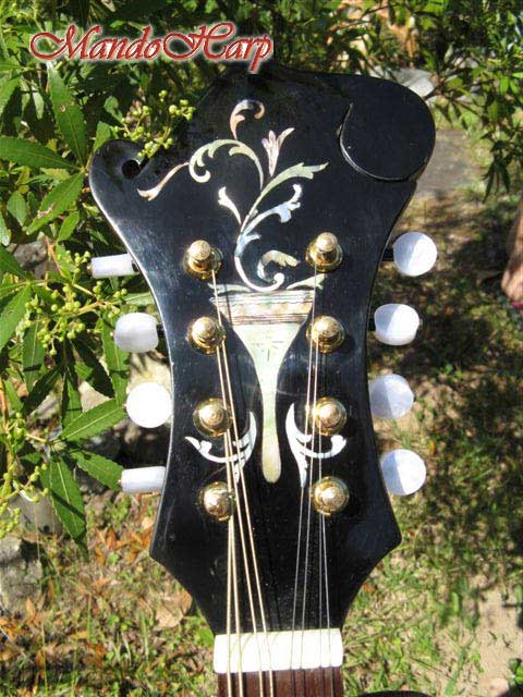 MandoHarp - 'Chalice Vines' F5-Style Mandola with Abalone and Mother of Pearl Inlay