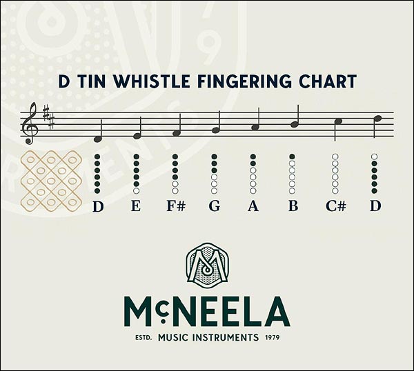McNEELA Wild Irish Whistle