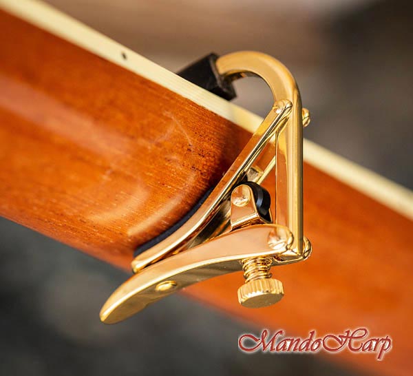 MandoHarp - Shubb Capo Royale - C1g for Steel String Guitar - Gold PVD Finish