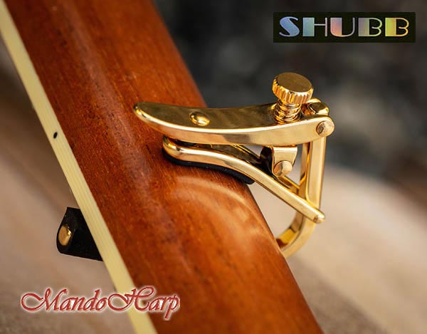 MandoHarp - Shubb Capo Royale - C1g for Steel String Guitar - Gold PVD Finish