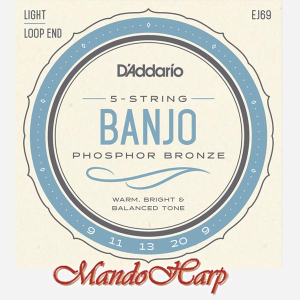5-String Banjo Strings - D'Addario EJ69 Phosphor-Bronze Wound Light 009-020
