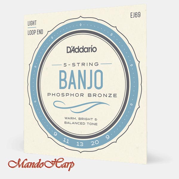 5-String Banjo Strings - D'Addario EJ69 Phosphor-Bronze Wound Light 009-020