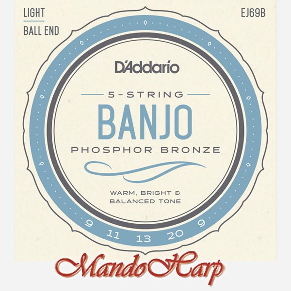 5-String Banjo Strings - D'Addario EJ69B Ball End Phosphor-Bronze Wound Light 009-020