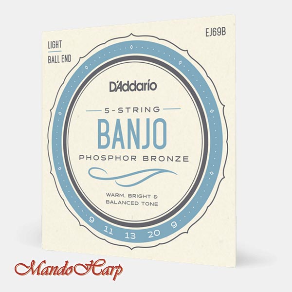 5-String Banjo Strings - D'Addario EJ69B Ball End Phosphor-Bronze Wound Light 009-020