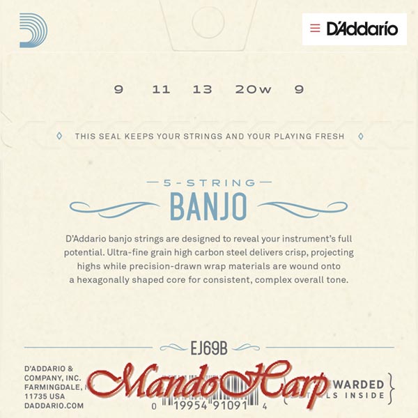 5-String Banjo Strings - D'Addario EJ69B Ball End Phosphor-Bronze Wound Light 009-020