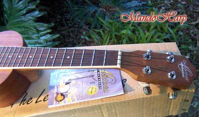 MandoHarp - Oscar Schmidt OU2 Concert Ukulele
