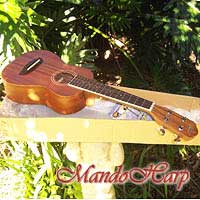 MandoHarp - Oscar Schmidt OU2 Concert Ukulele